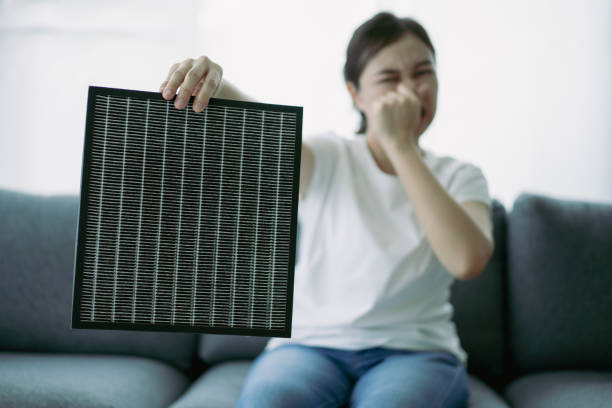 Best Home Air Vent Cleaning  in Middleport, NY